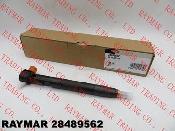 DELPHI Common rail injector 28264952, 28489562 for GM, CHEVROLET Captiva 2.0D 25183185, 25195088