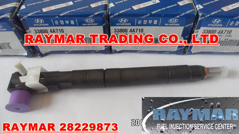 DELPHI common rail injector 28229873 for HYUNDA KIA 33800-4A710