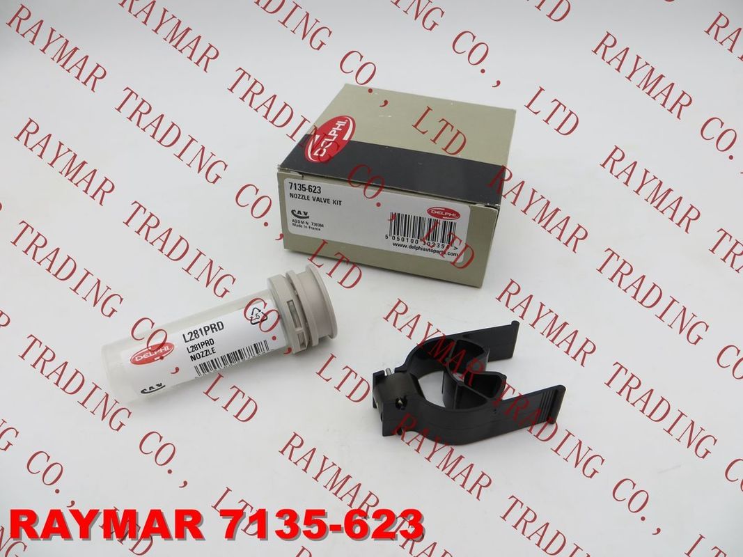 DELPHI Fuel injector nozzle and valve kit 7135-623 for EJBR05501D, 33800-4X450, 33801-4X450